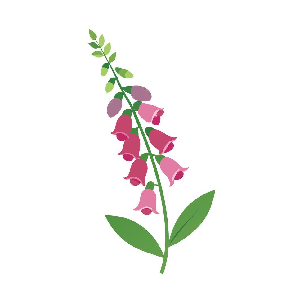 Beautiful Flower Minimalist Floral Illustration vector