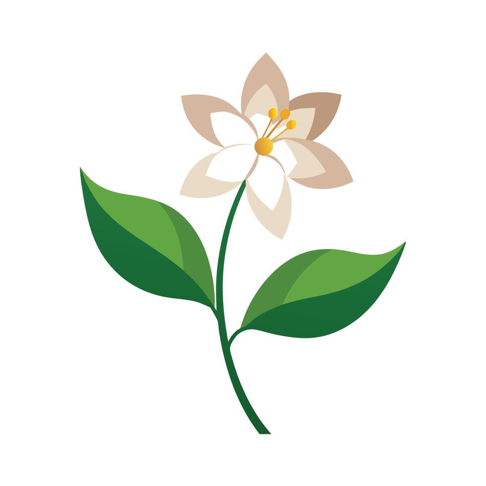 Beautiful Flower Minimalist Floral Illustration vector