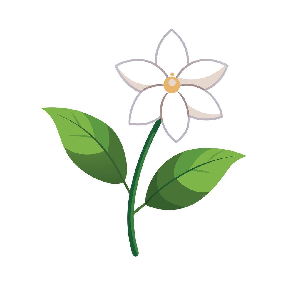 Beautiful Flower Minimalist Floral Illustration vector