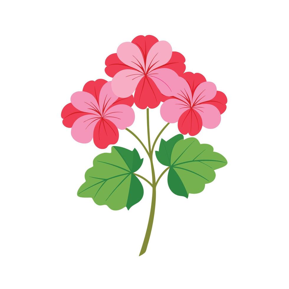 Beautiful Flower Minimalist Floral Illustration vector