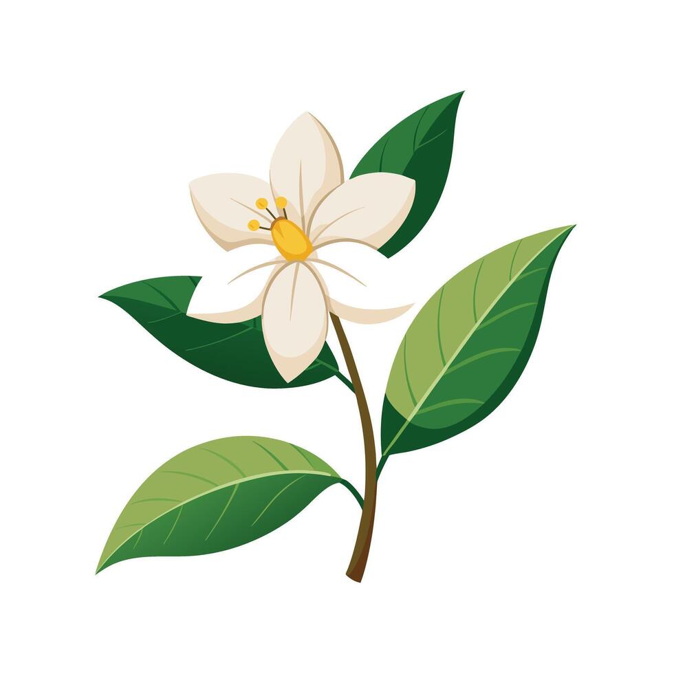 Beautiful Flower Minimalist Floral Illustration vector