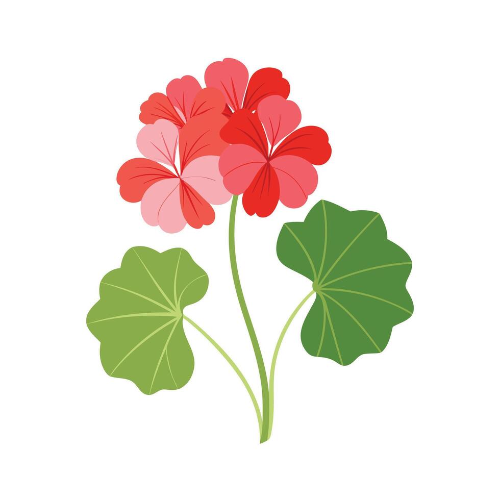 Beautiful Flower Minimalist Floral Illustration vector