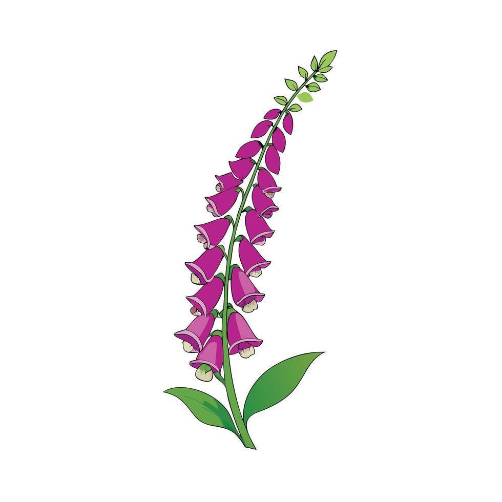 Beautiful Flower Minimalist Floral Illustration vector