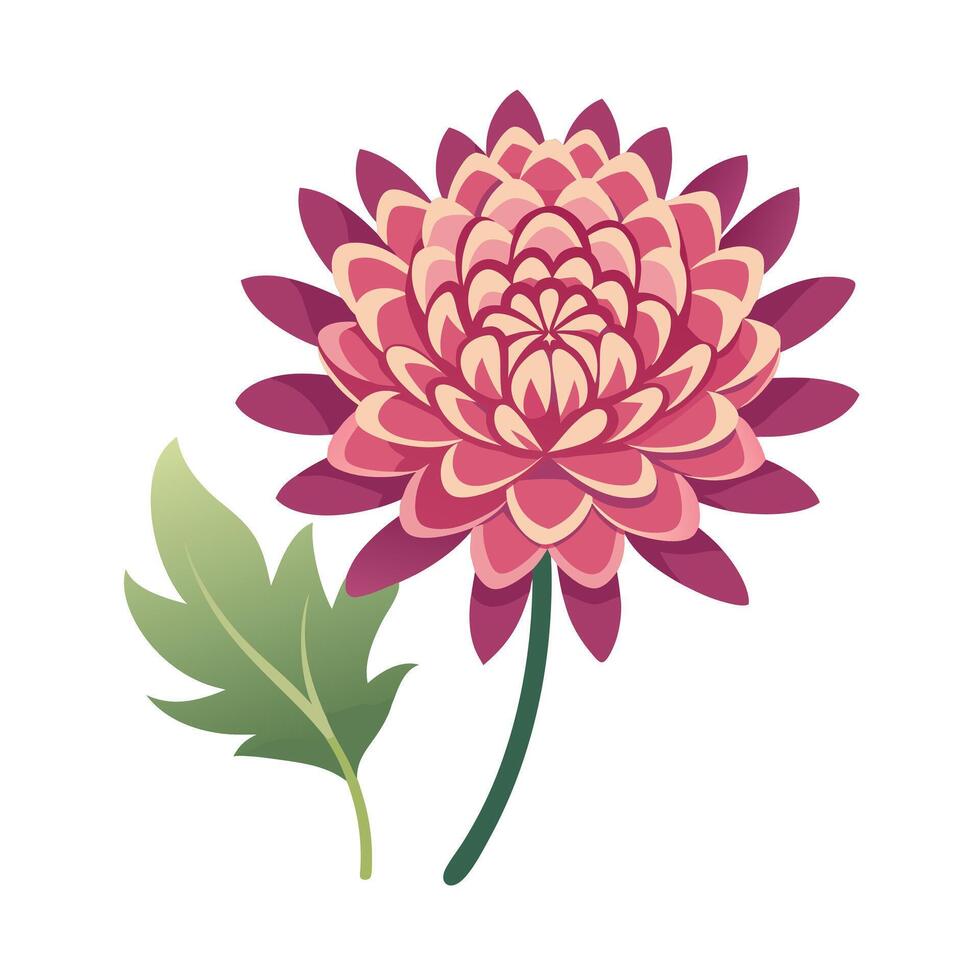 Beautiful Flower Minimalist Floral Illustration vector