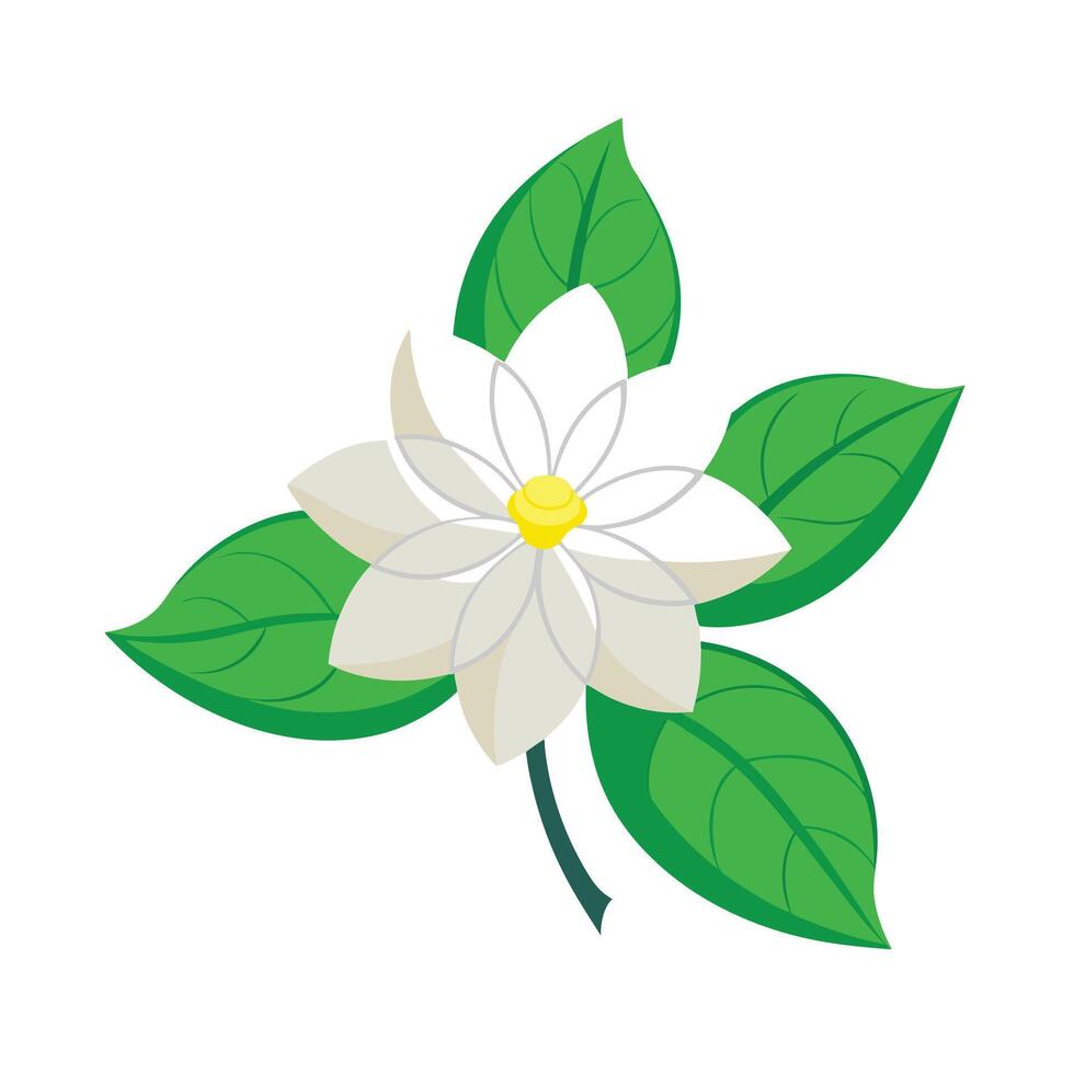 Beautiful Flower Minimalist Floral Illustration vector