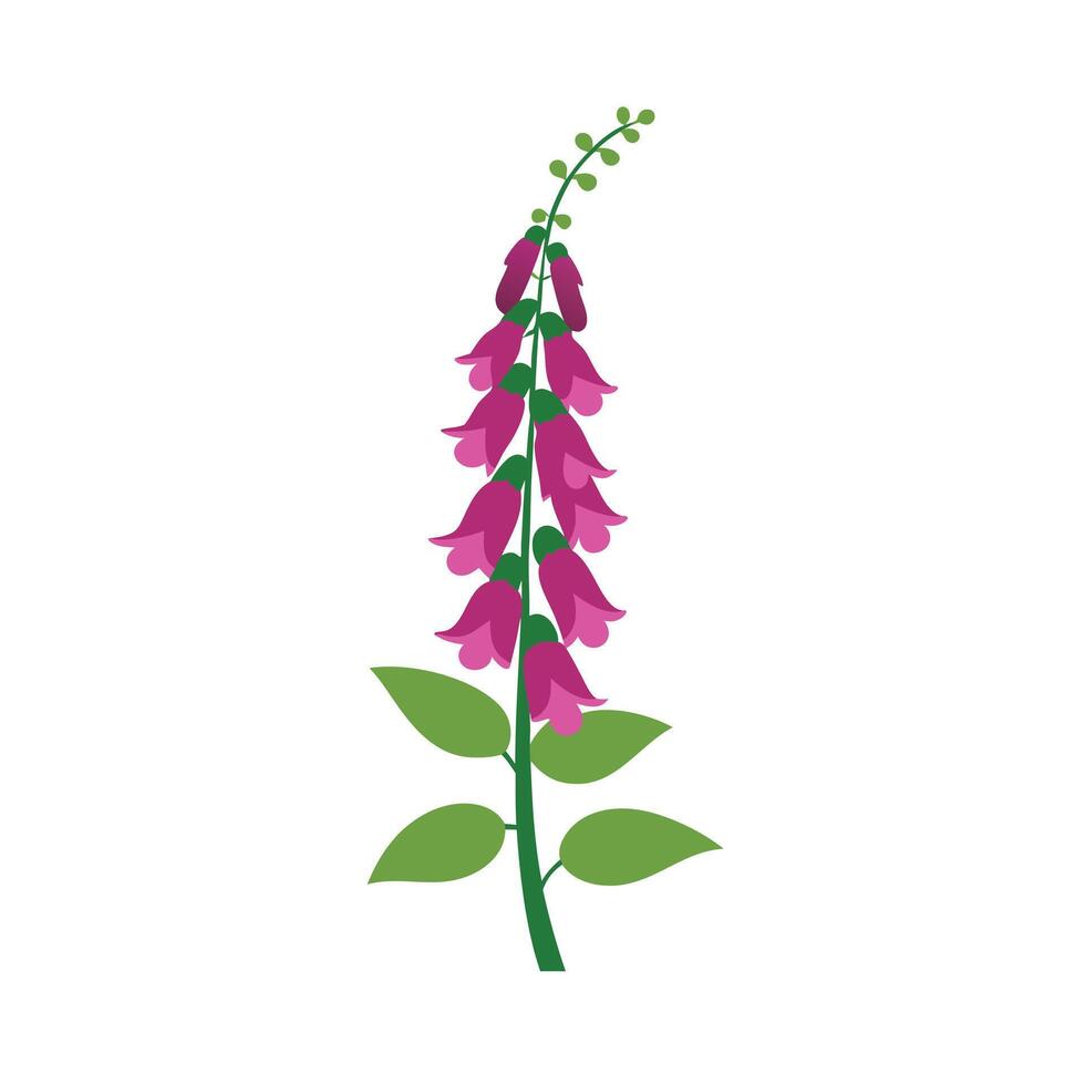 Beautiful Flower Minimalist Floral Illustration vector