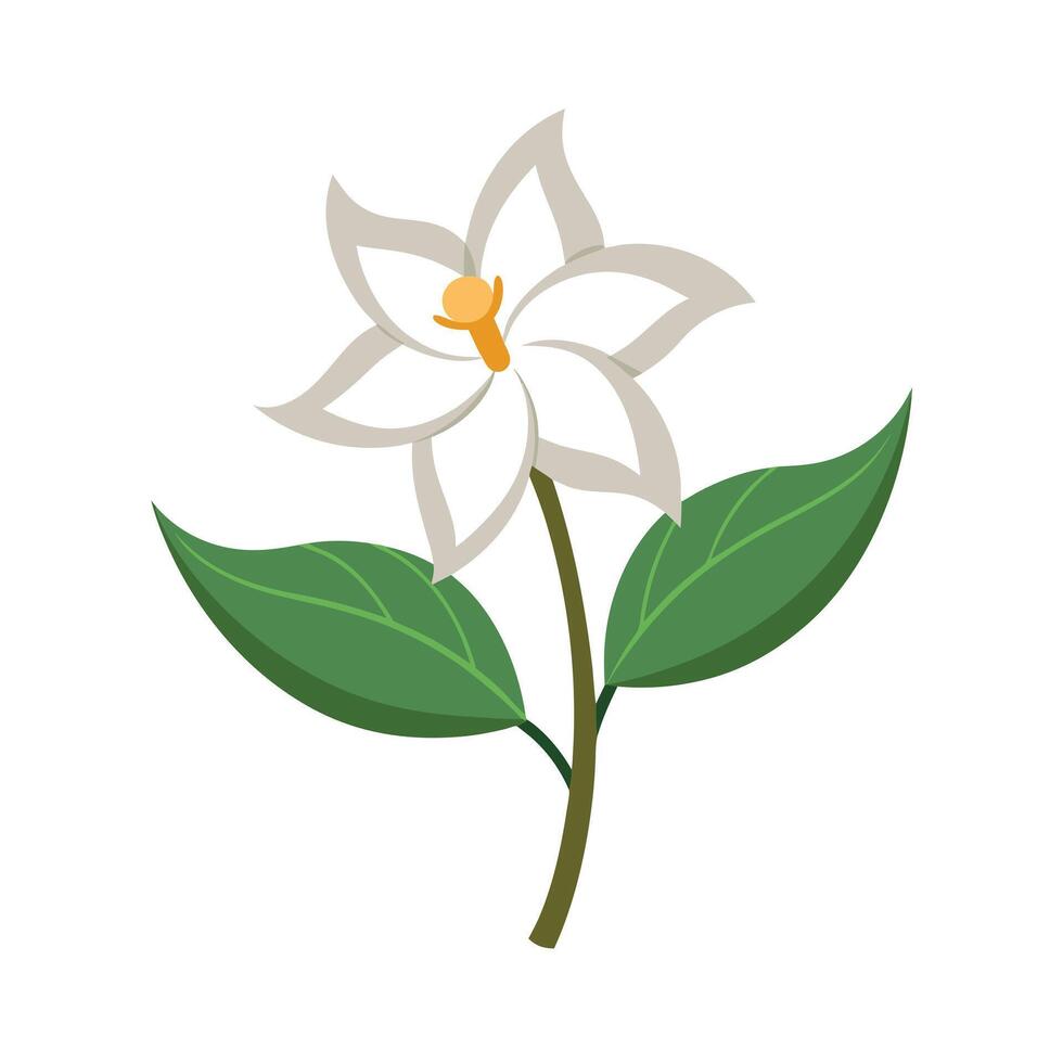 Beautiful Flower Minimalist Floral Illustration vector