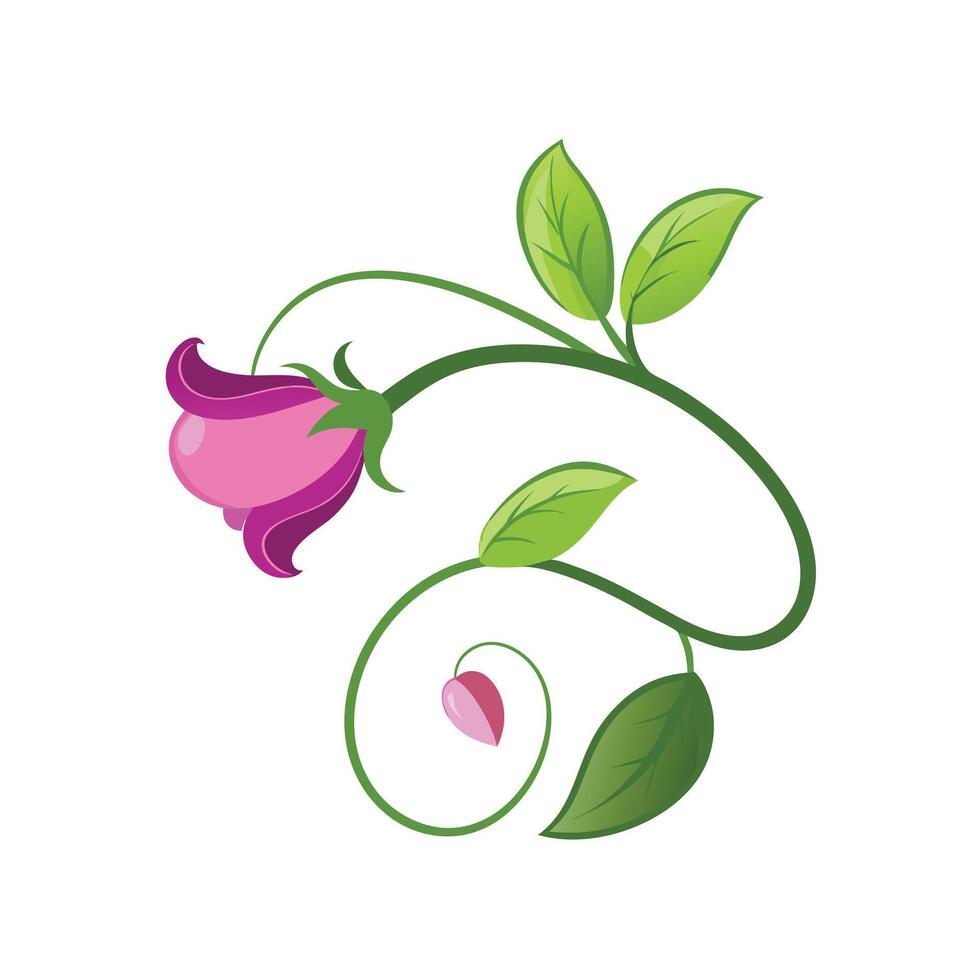 Beautiful Flower Minimalist Floral Illustration vector