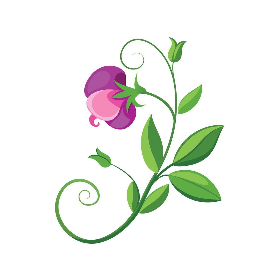 Beautiful Flower Minimalist Floral Illustration vector