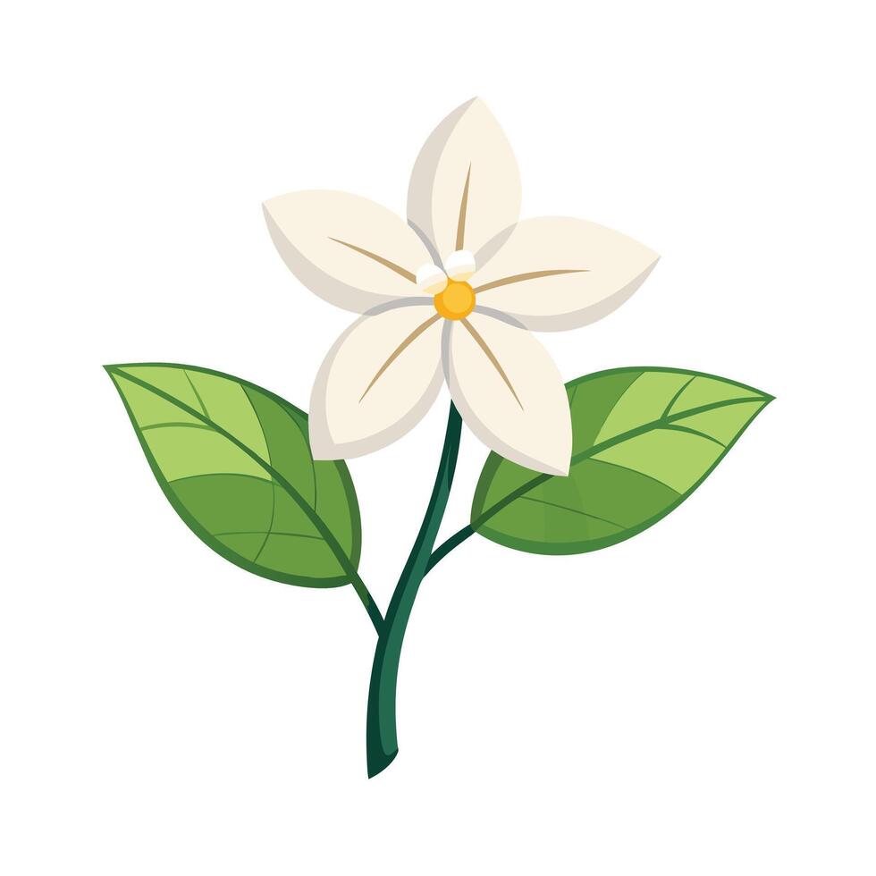 Beautiful Flower Minimalist Floral Illustration vector