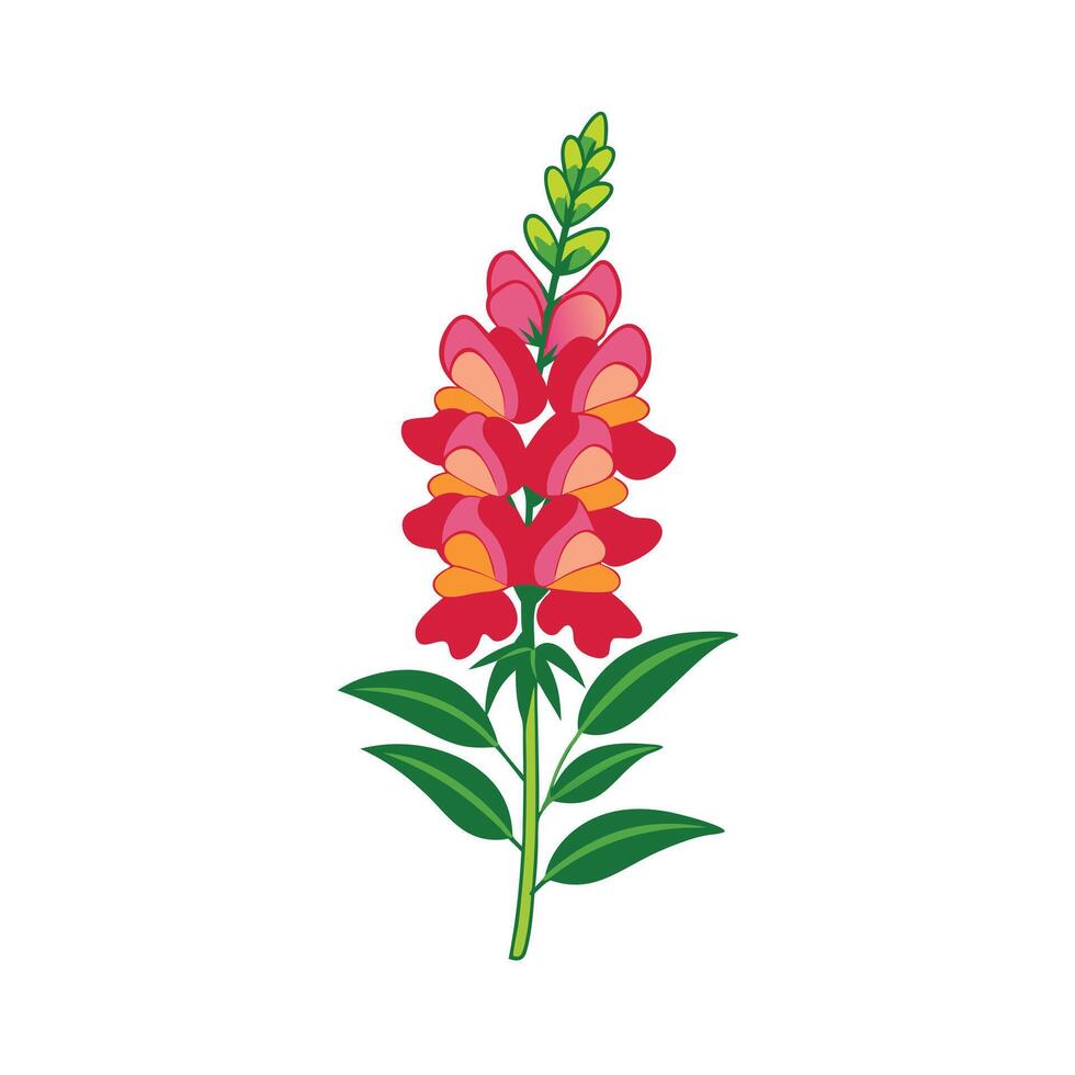 Beautiful Flower Minimalist Floral Illustration vector