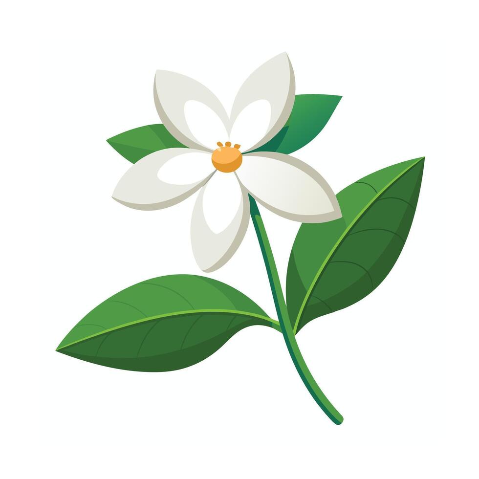 Beautiful Flower Minimalist Floral Illustration vector