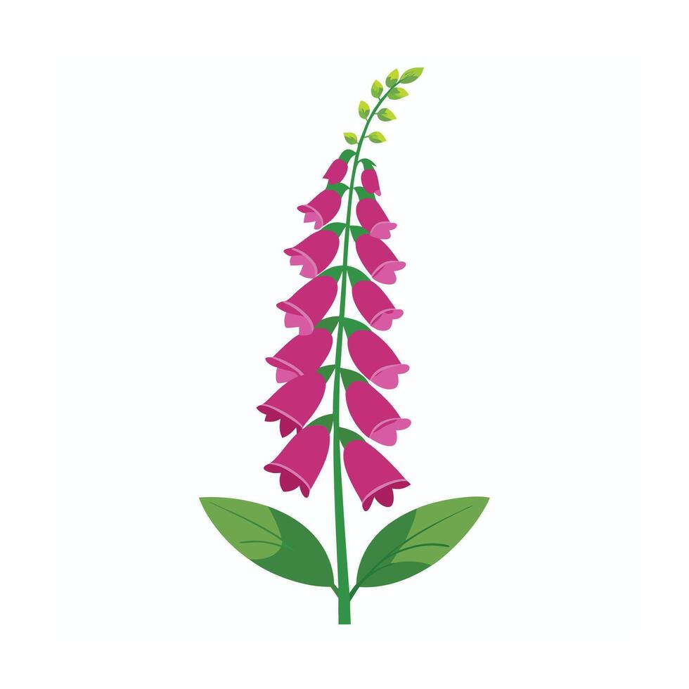 Beautiful Flower Minimalist Floral Illustration vector