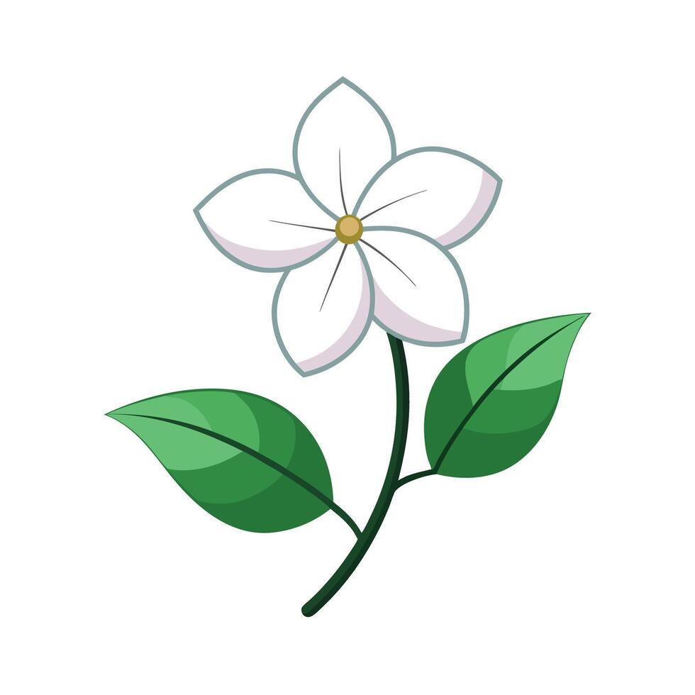 Beautiful Flower Minimalist Floral Illustration vector
