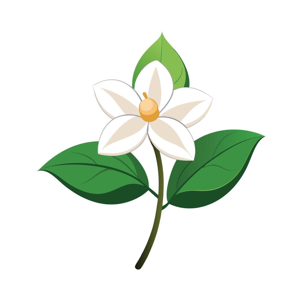 Beautiful Flower Minimalist Floral Illustration vector