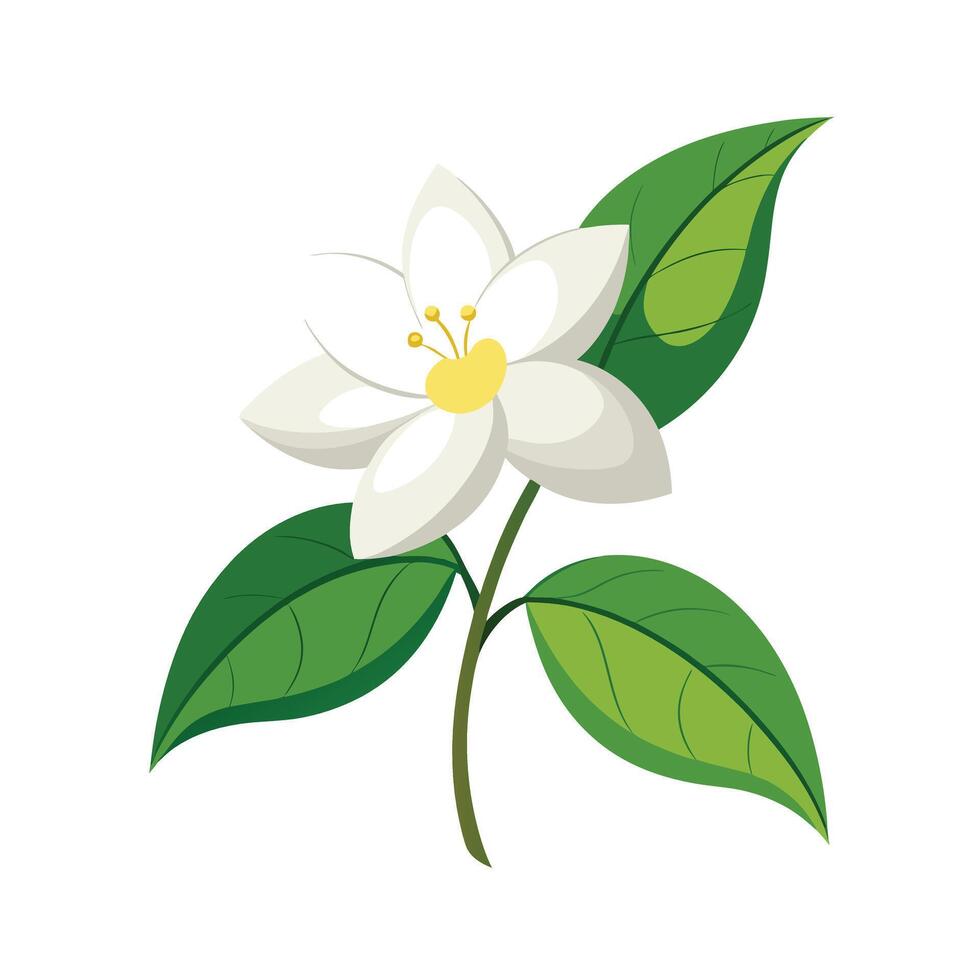 Beautiful Flower Minimalist Floral Illustration vector