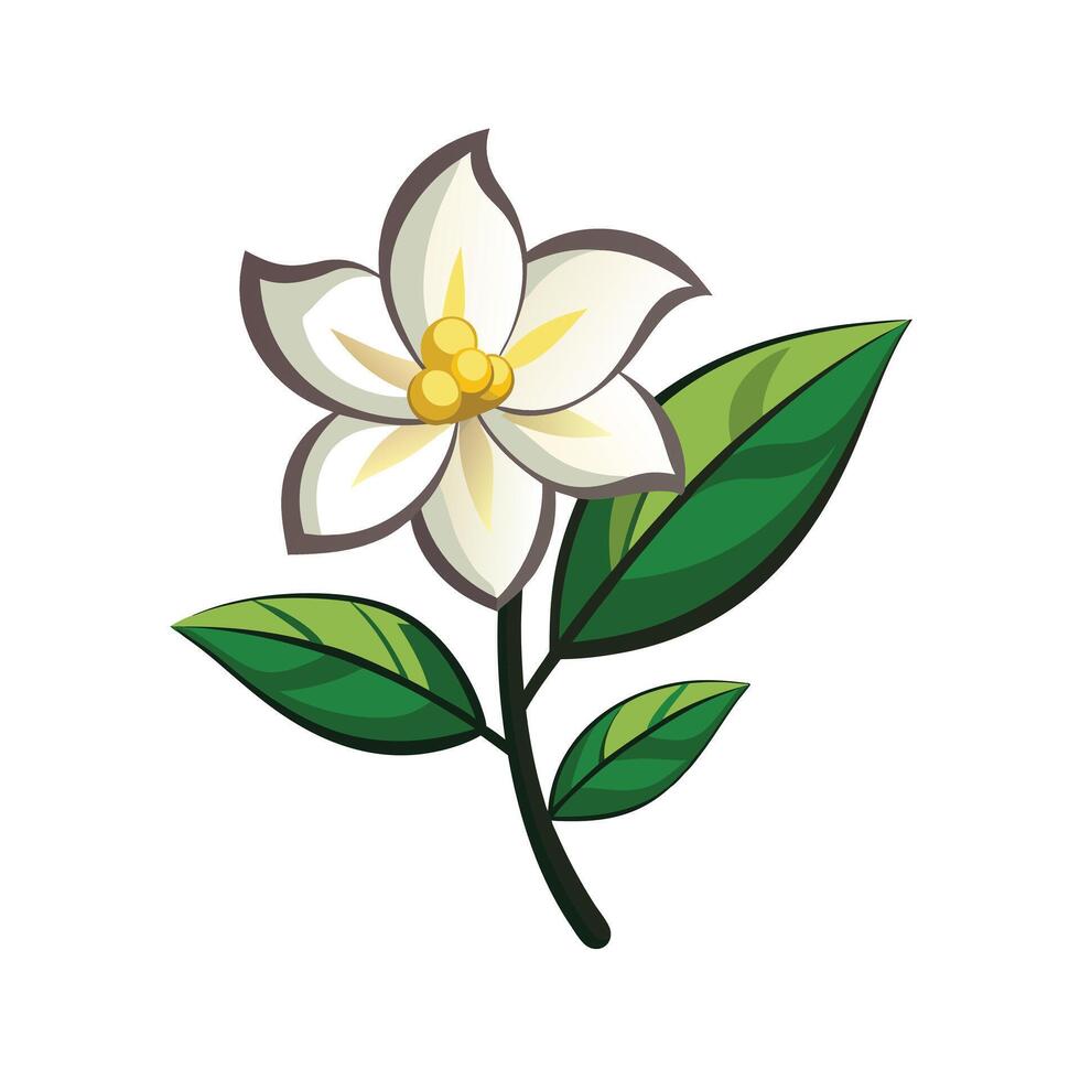 Beautiful Flower Minimalist Floral Illustration vector