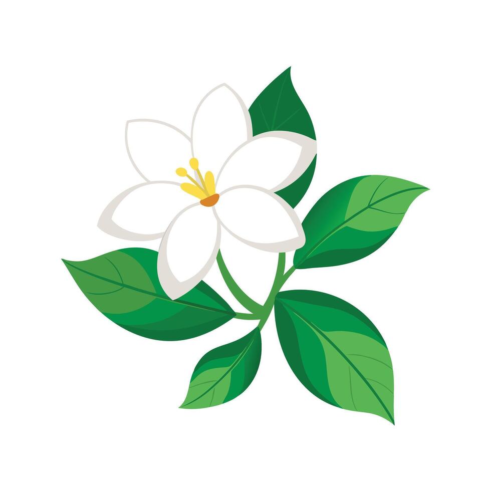 Beautiful Flower Minimalist Floral Illustration vector