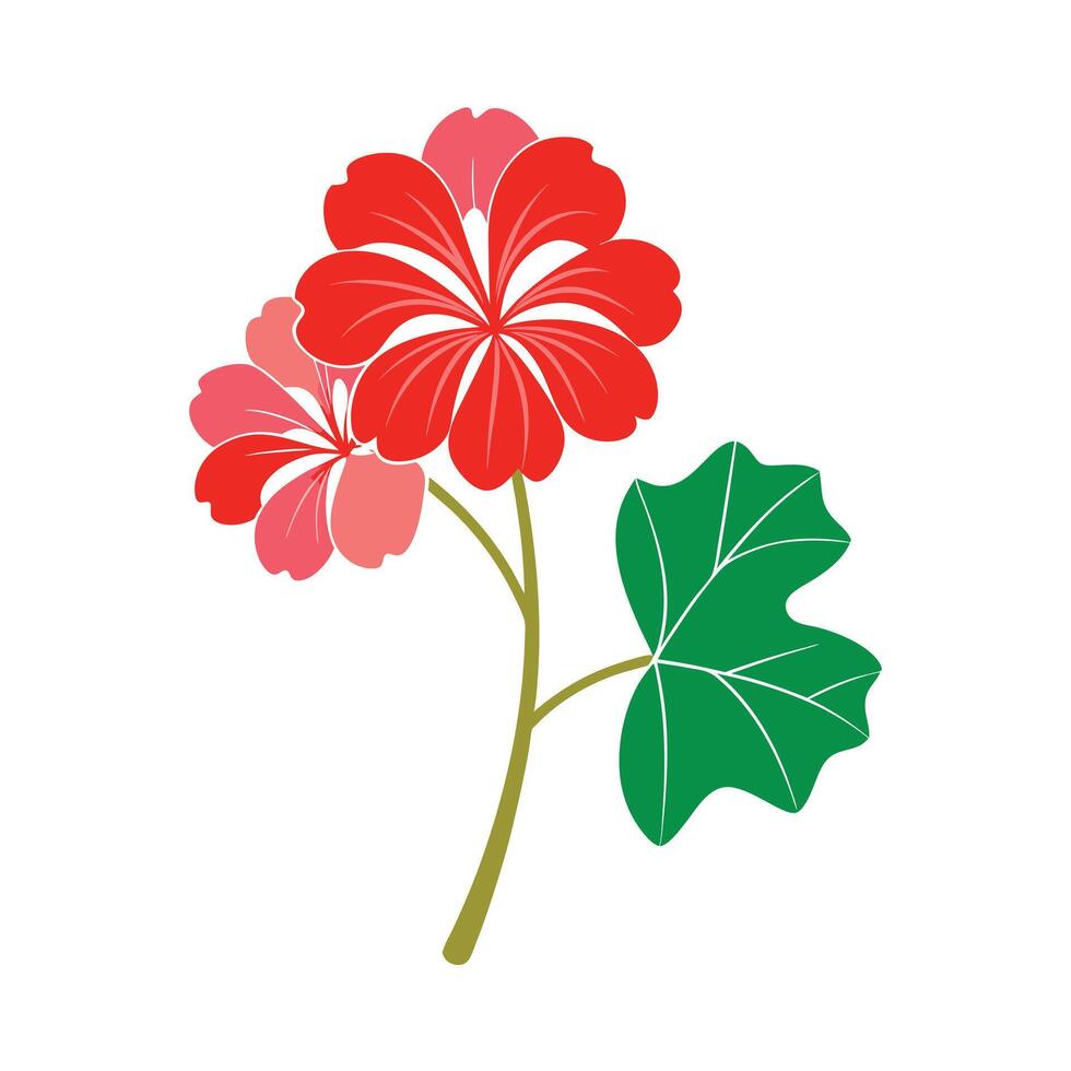 Beautiful Flower Minimalist Floral Illustration vector