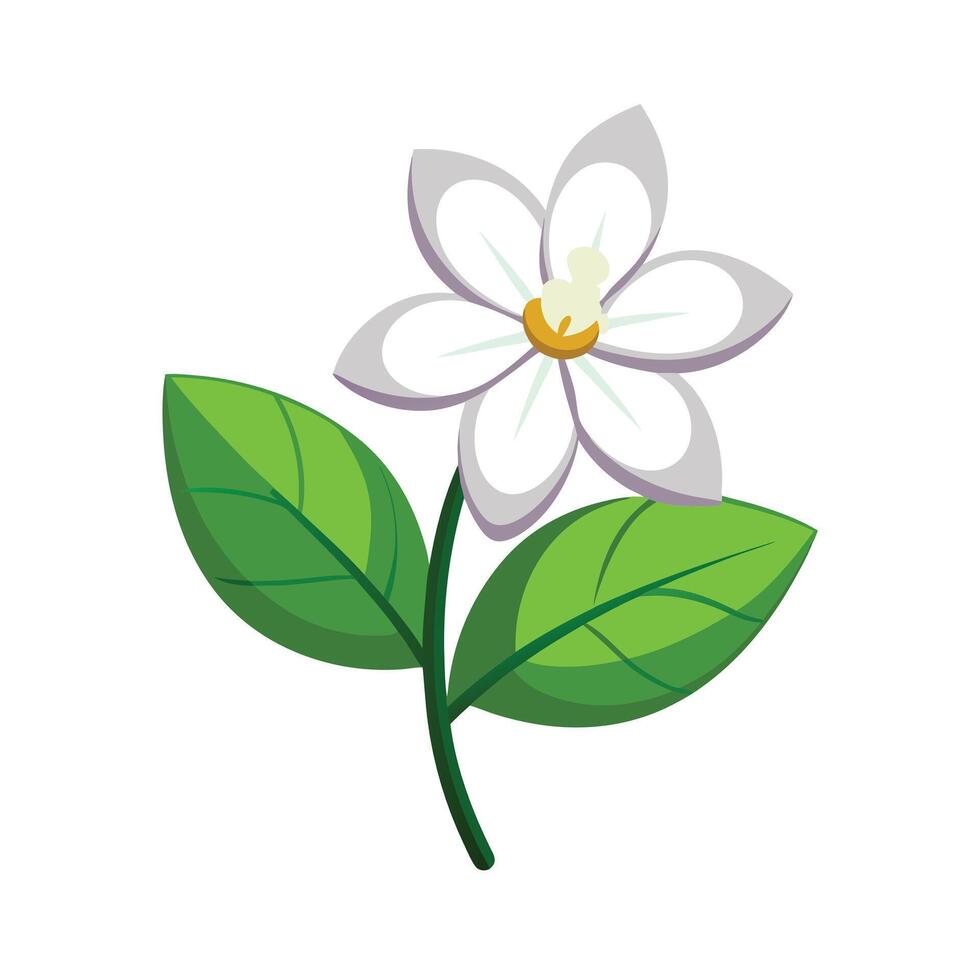 Beautiful Flower Minimalist Floral Illustration vector
