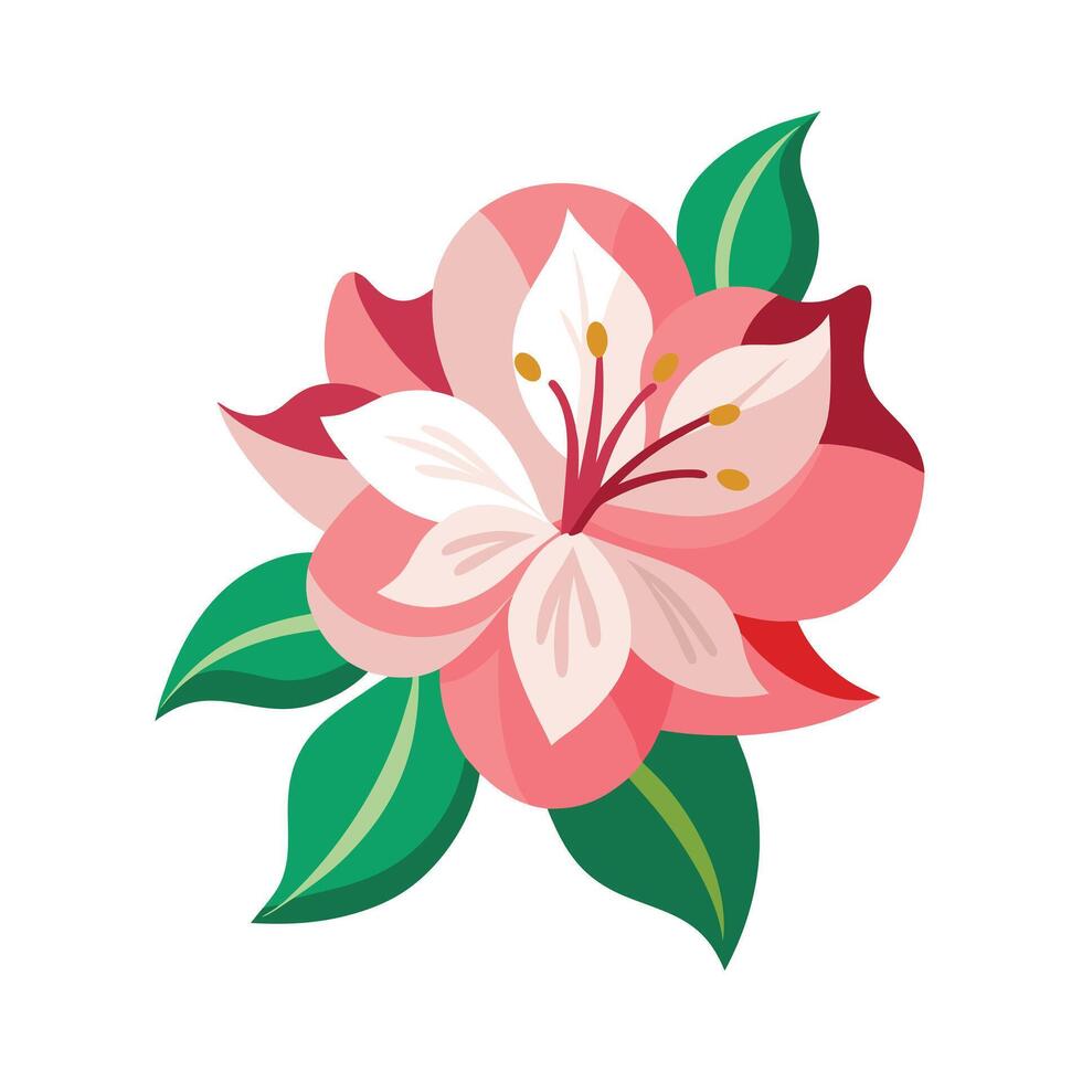 Beautiful Flower Minimalist Floral Illustration vector