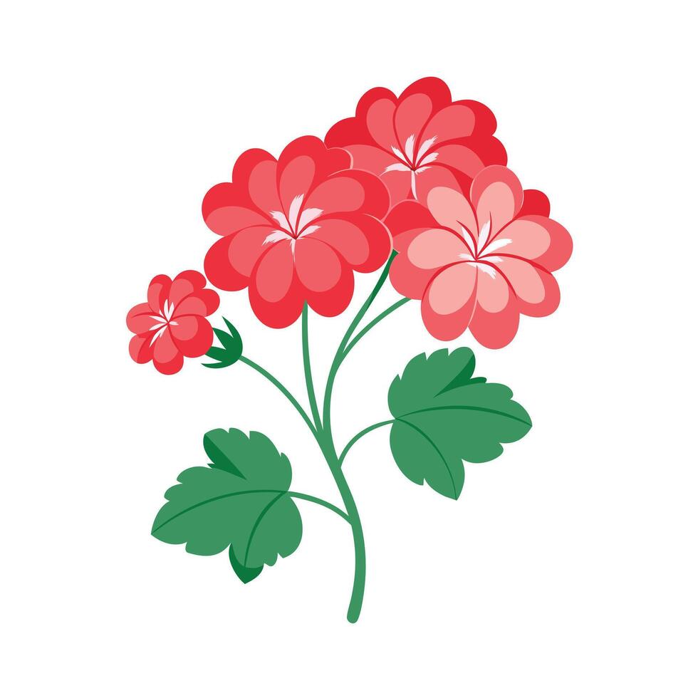 Beautiful Flower Minimalist Floral Illustration vector