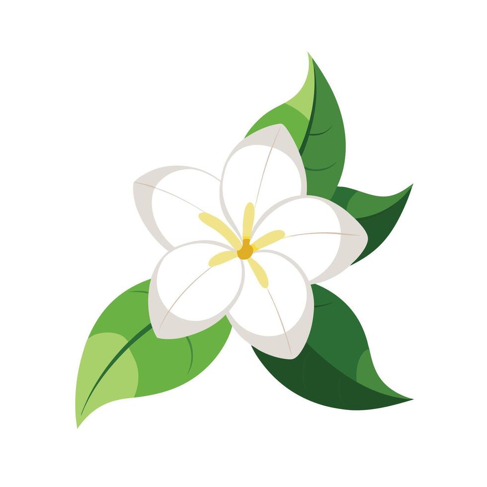 Beautiful Flower Minimalist Floral Illustration vector