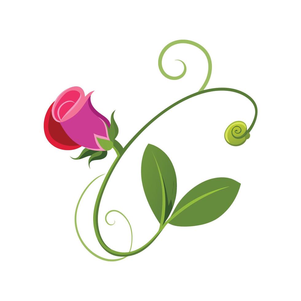 Beautiful Flower Minimalist Floral Illustration vector