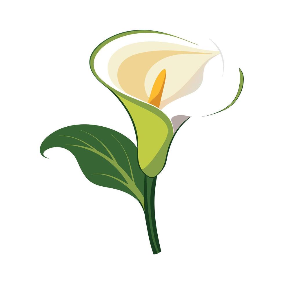Beautiful Flower Minimalist Floral Illustration vector
