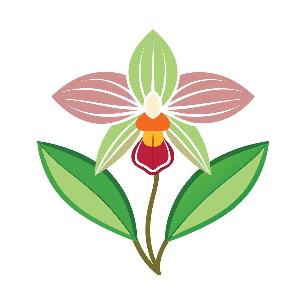 Beautiful Flower Minimalist Floral Illustration vector
