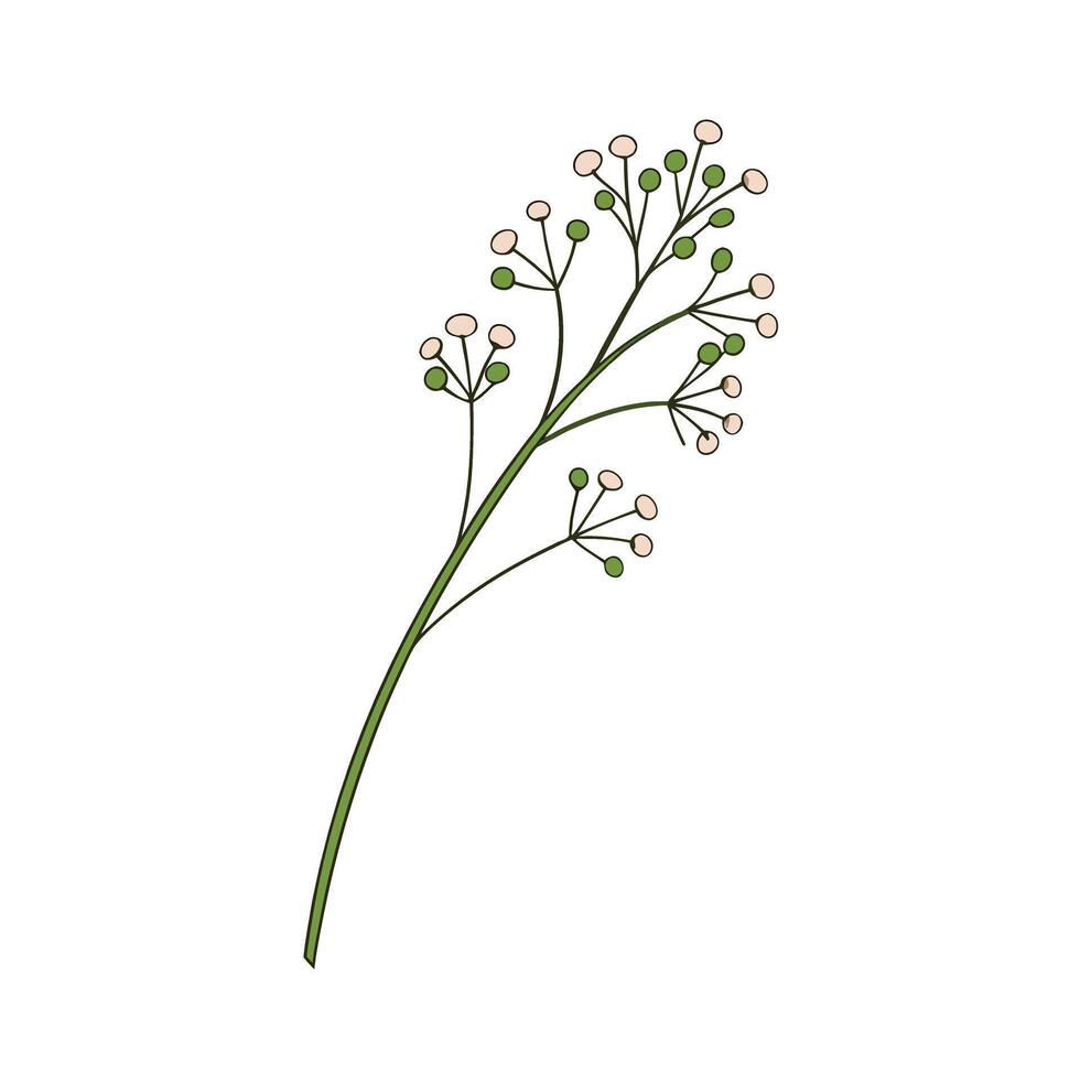 Beautiful Flower Minimalist Floral Illustration vector