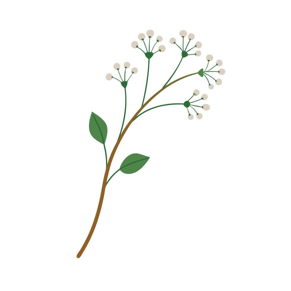 Beautiful Flower Minimalist Floral Illustration vector