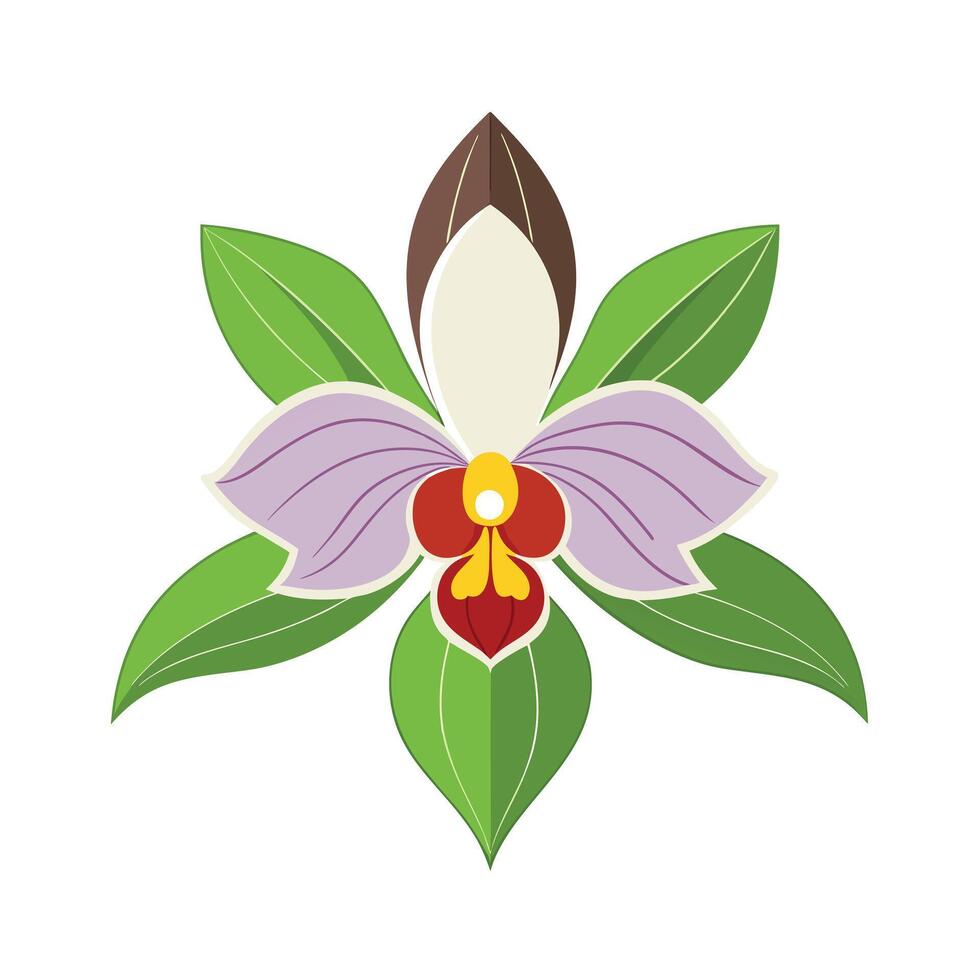 Beautiful Flower Minimalist Floral Illustration vector