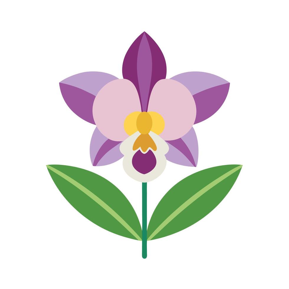 Beautiful Flower Minimalist Floral Illustration vector