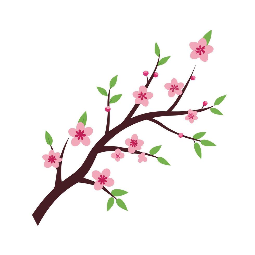 Beautiful Flower Minimalist Floral Illustration vector