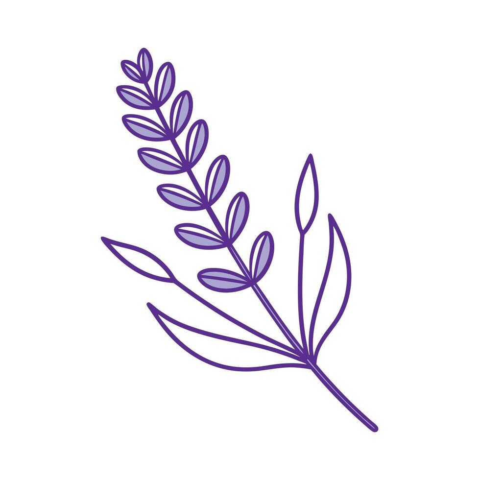 Beautiful Flower Minimalist Floral Illustration vector