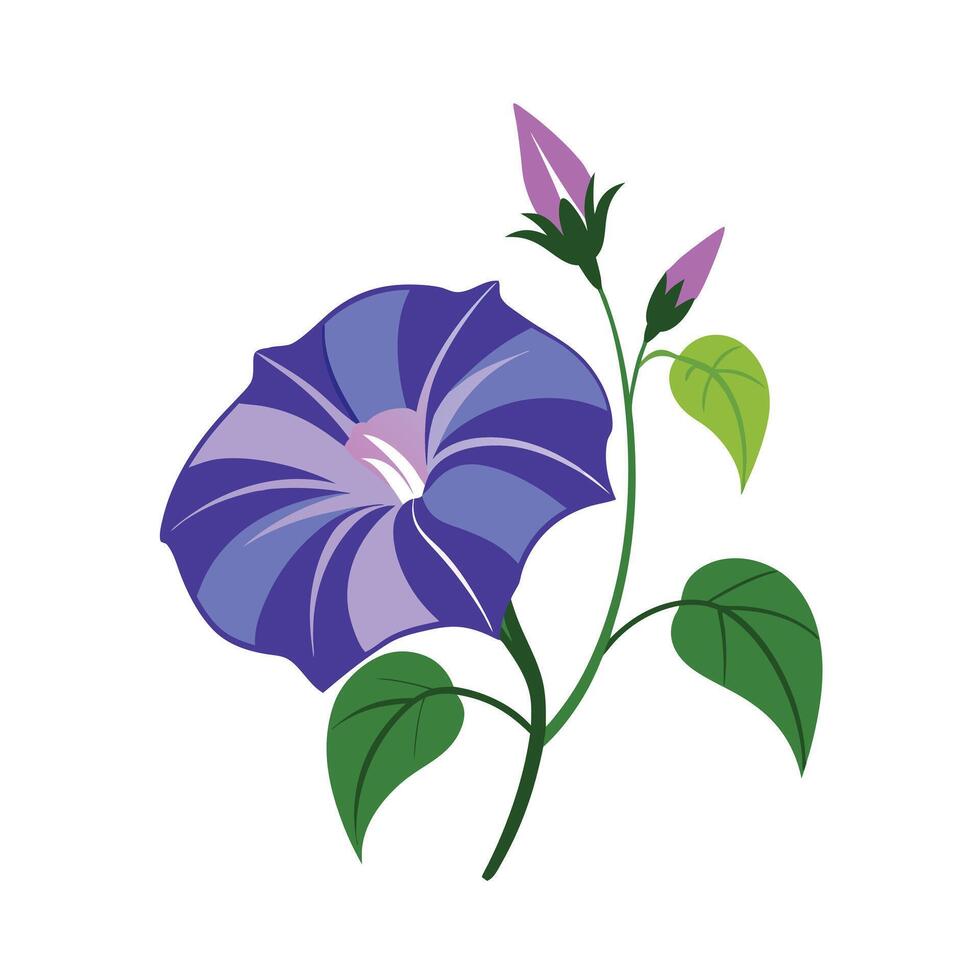 Beautiful Flower Minimalist Floral Illustration vector