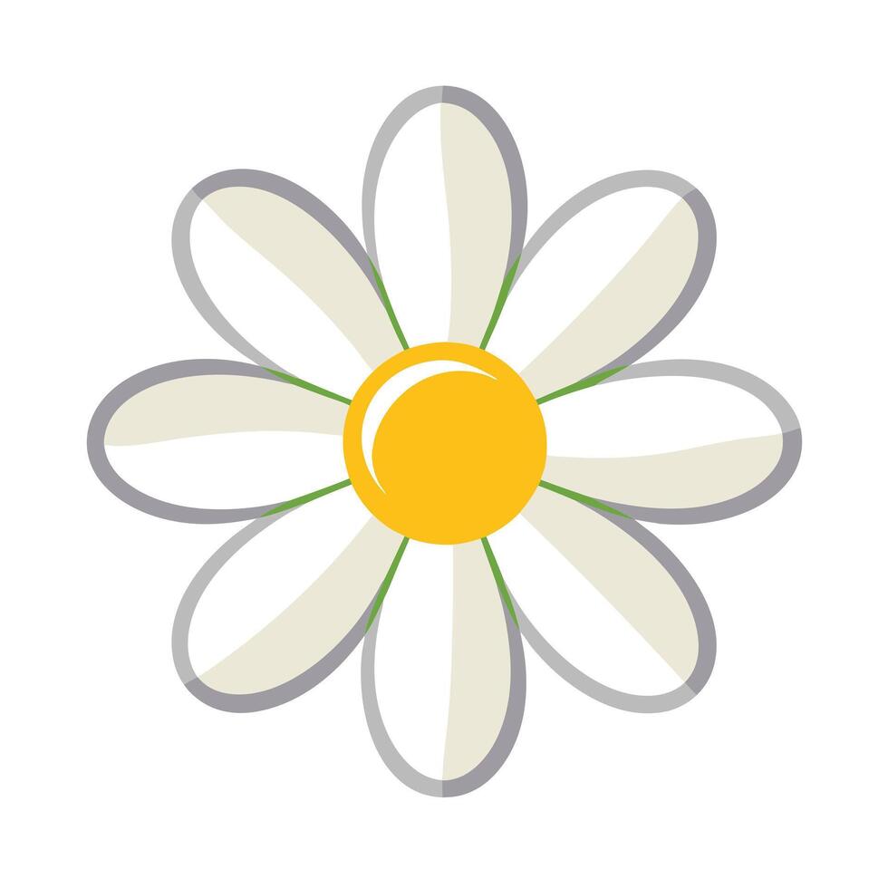 Beautiful Flower Minimalist Floral Illustration vector