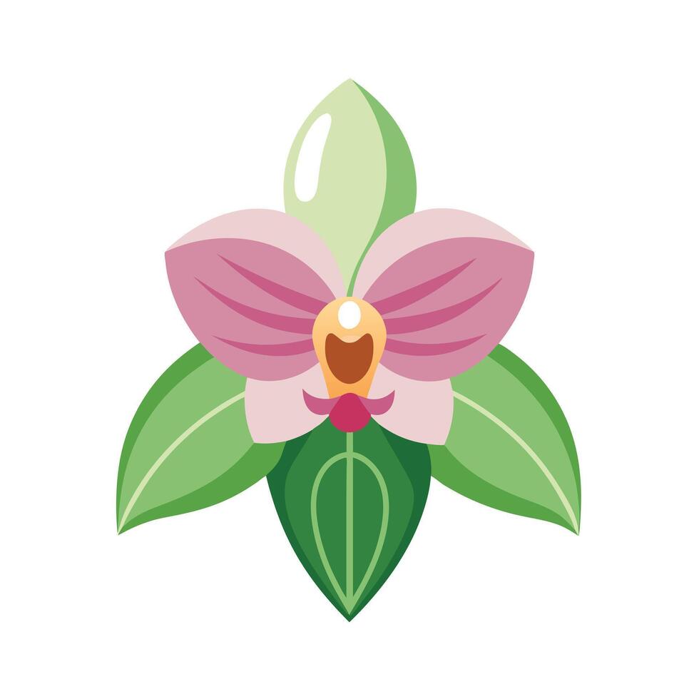 Beautiful Flower Minimalist Floral Illustration vector