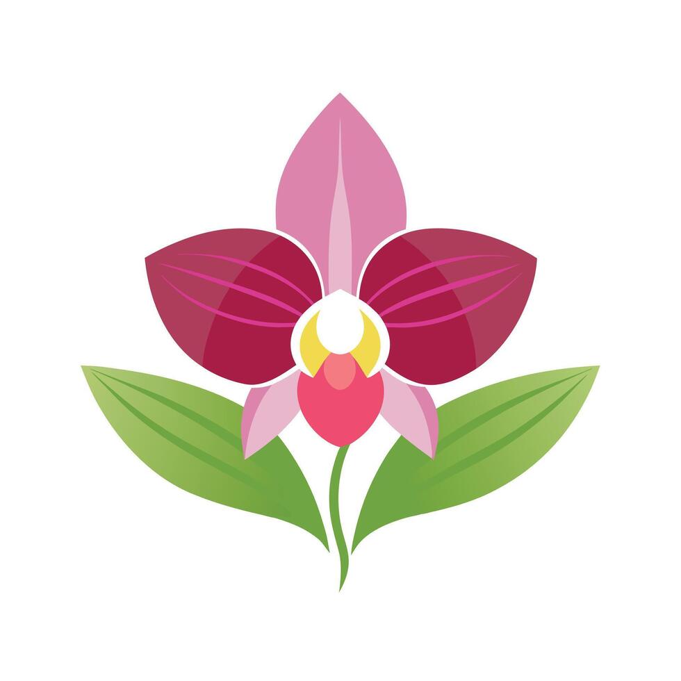 Beautiful Flower Minimalist Floral Illustration vector