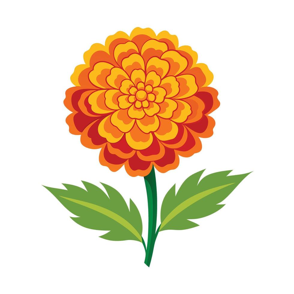 Beautiful Flower Minimalist Floral Illustration vector