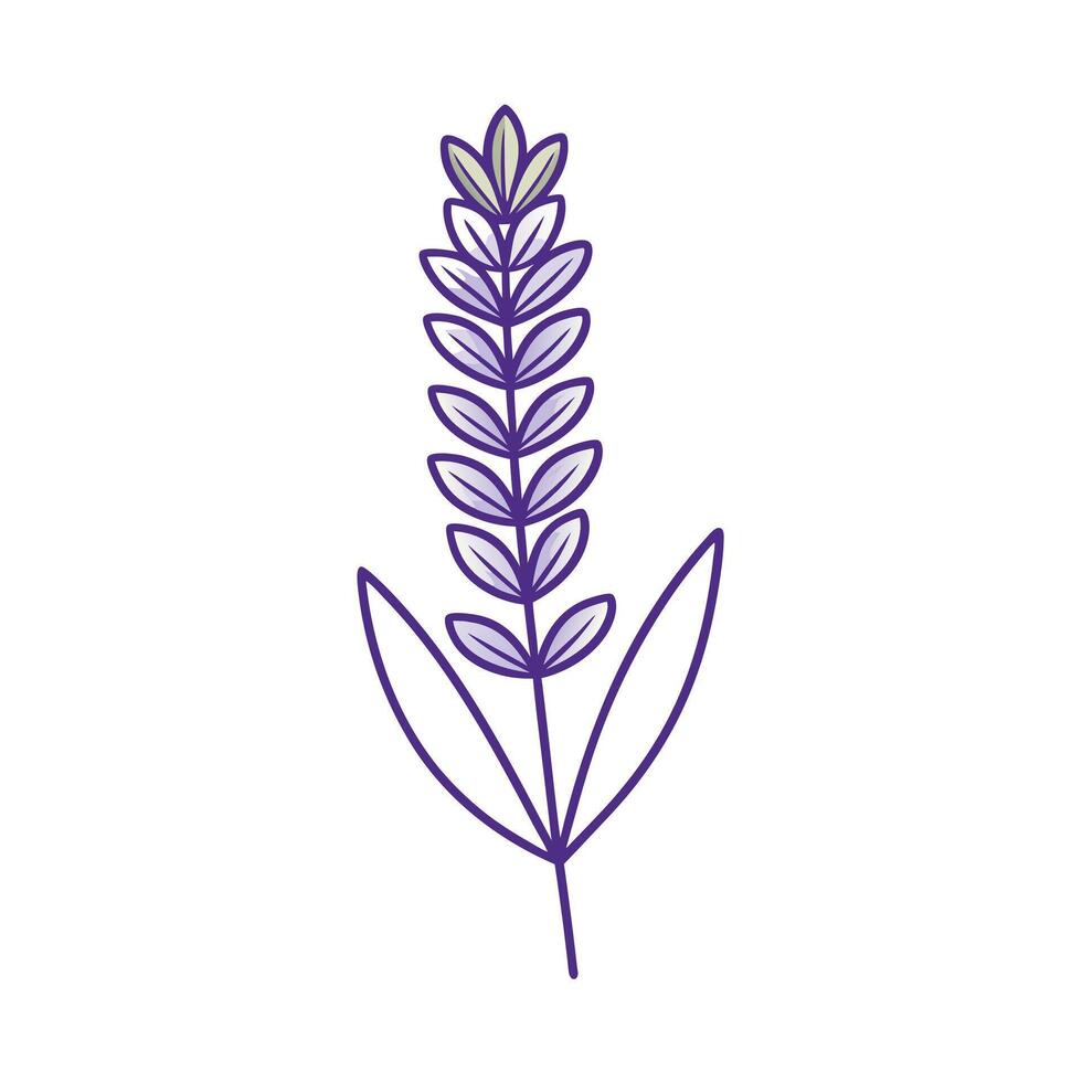Beautiful Flower Minimalist Floral Illustration vector
