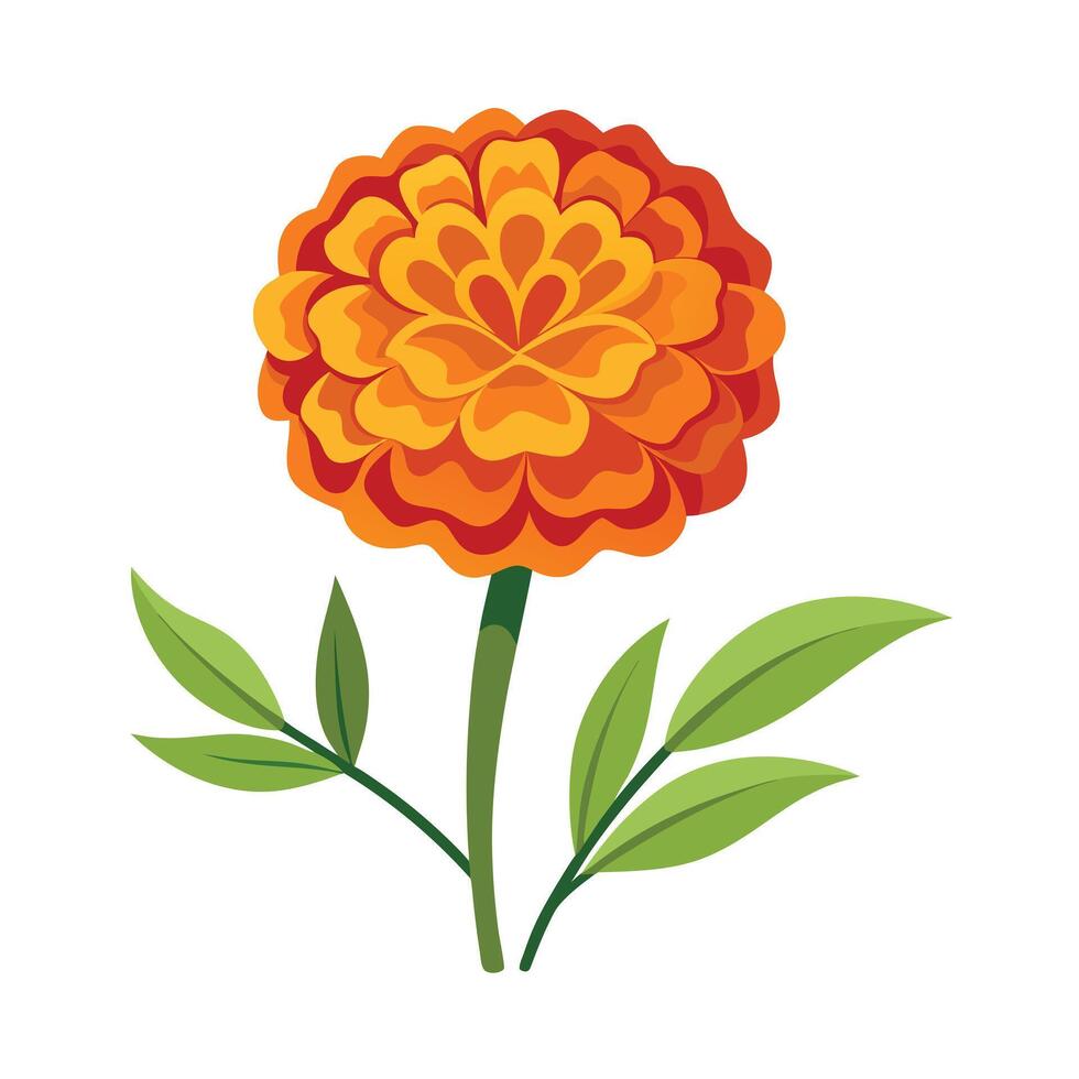 Beautiful Flower Minimalist Floral Illustration vector
