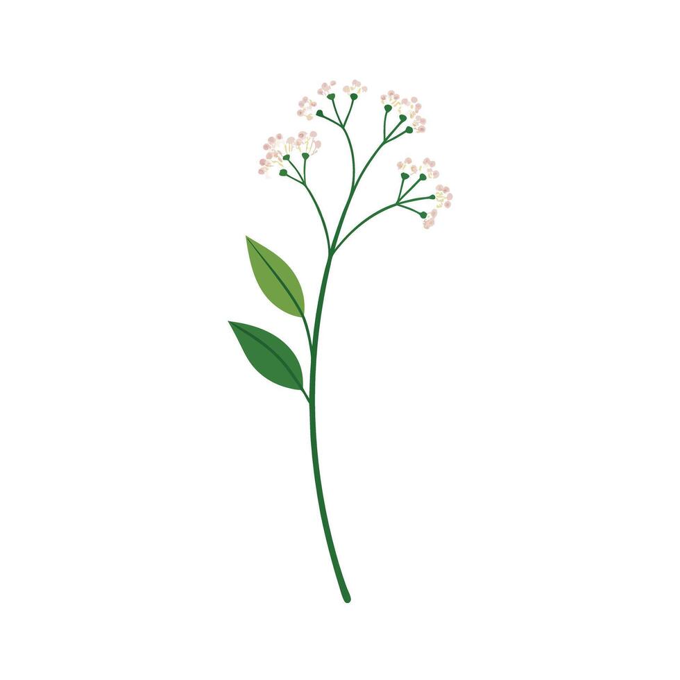 Beautiful Flower Minimalist Floral Illustration vector