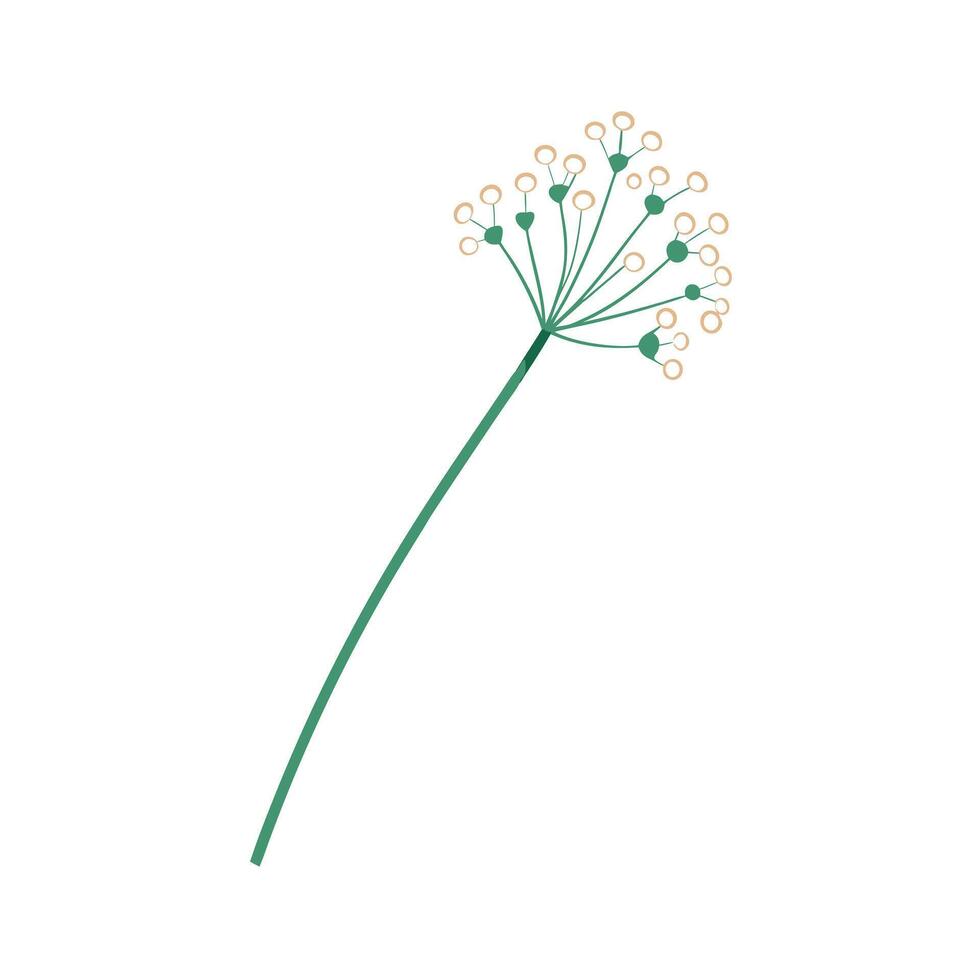 Beautiful Flower Minimalist Floral Illustration vector