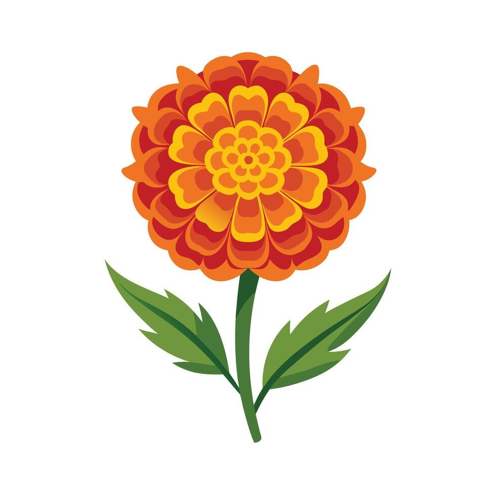 Beautiful Flower Minimalist Floral Illustration vector