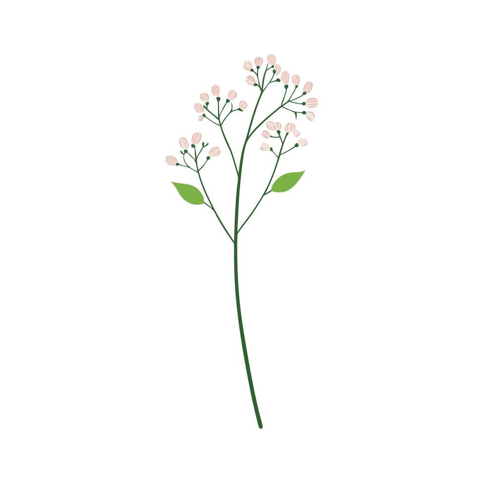 Beautiful Flower Minimalist Floral Illustration vector