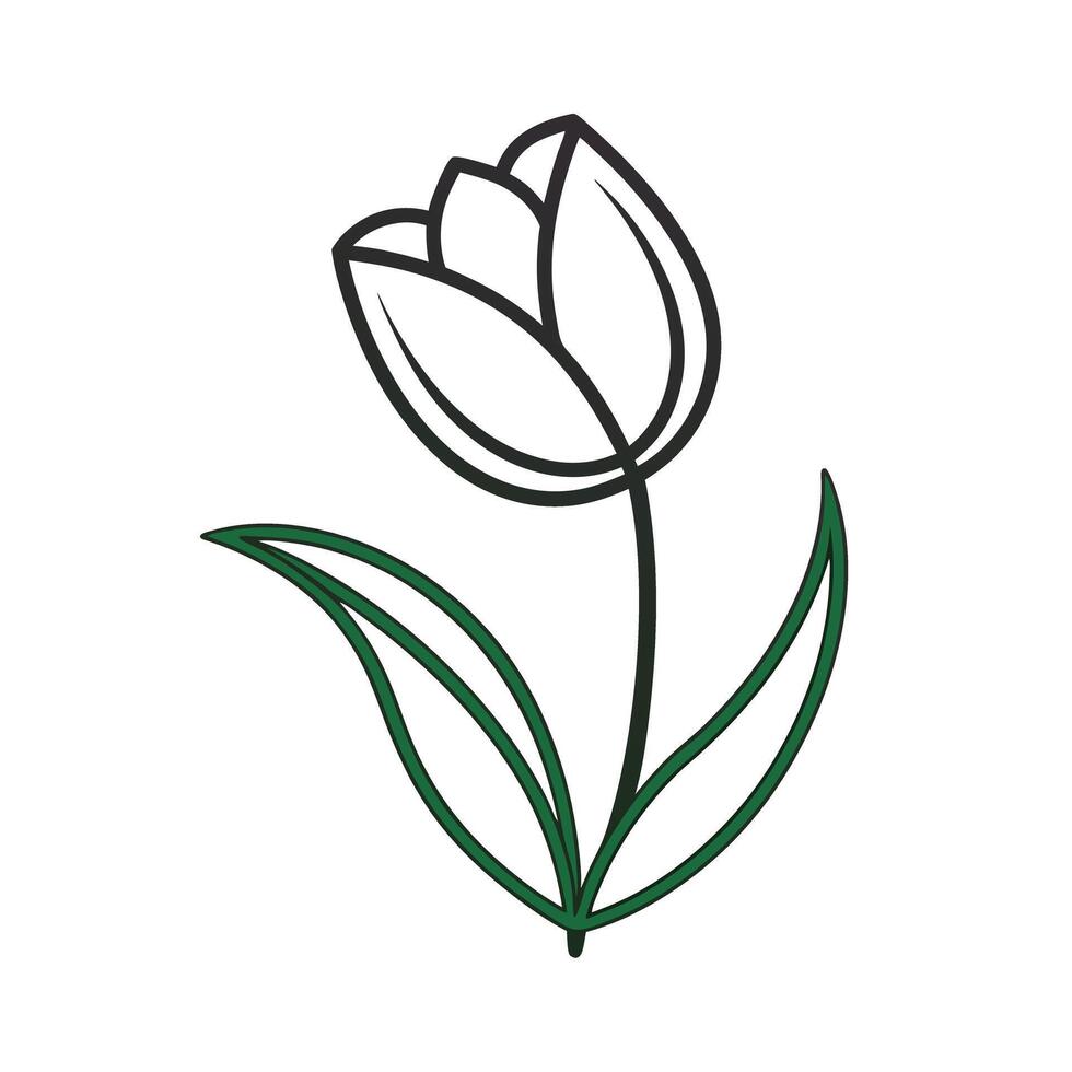 Beautiful Flower Minimalist Floral Illustration vector