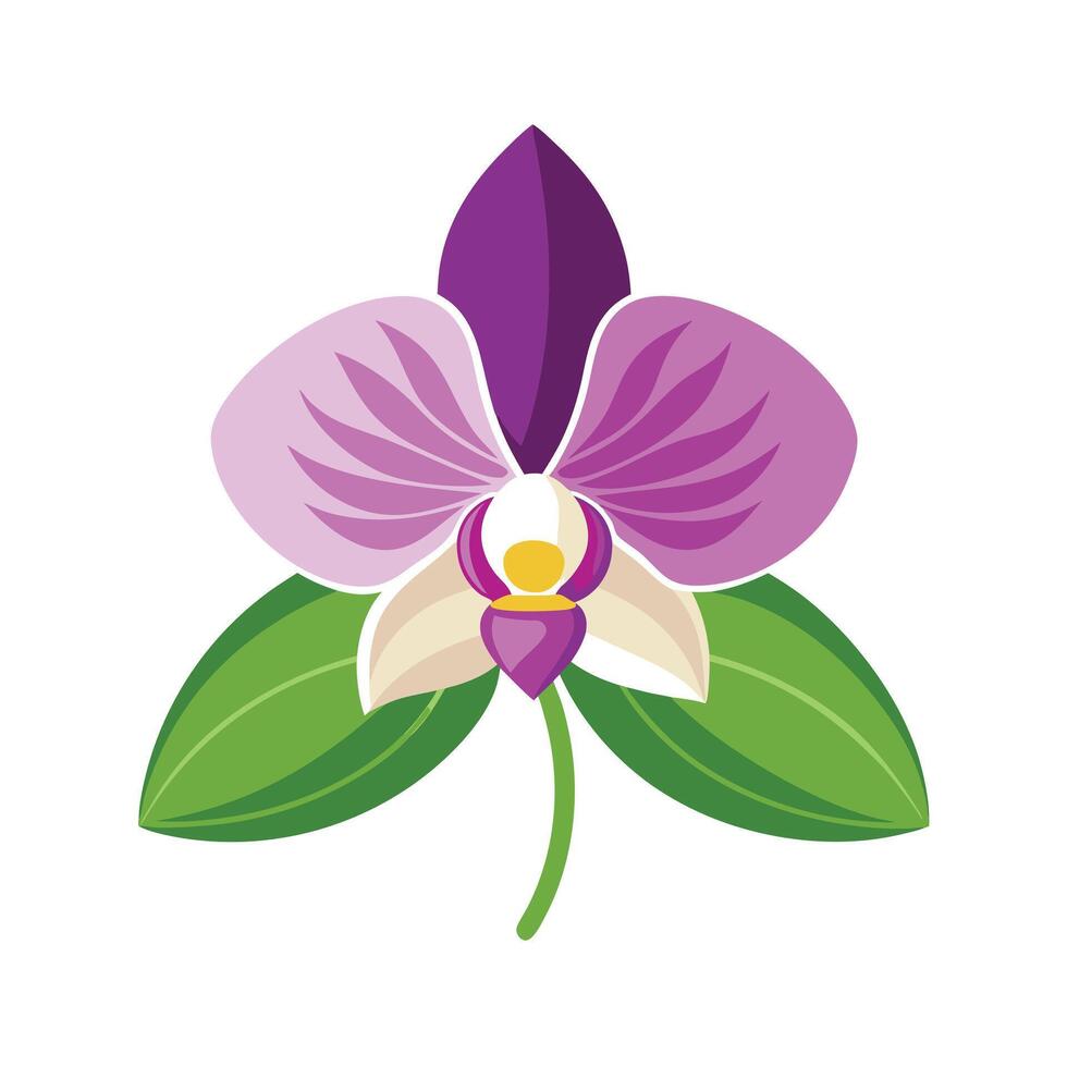 Beautiful Flower Minimalist Floral Illustration vector
