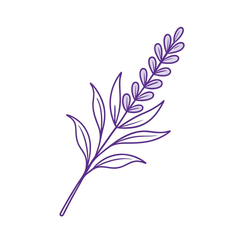 Beautiful Flower Minimalist Floral Illustration vector